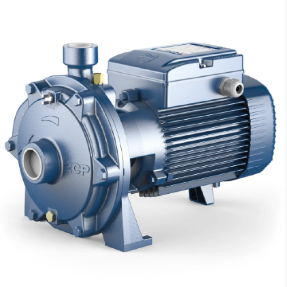 Elettropompa centrifuga bigirante